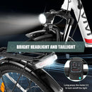 VIVI C26 26 Inch 250W European Electric City Bike City Cruiser Bicycle - Viviebike