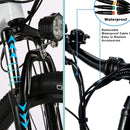 VIVI C26 26 Inch 250W European Electric City Bike City Cruiser Bicycle - Viviebike