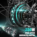 VIVI C26 26 Inch 250W European Electric City Bike City Cruiser Bicycle - Viviebike