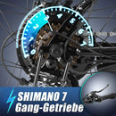 VIVI C26 26 Inch 250W European Electric City Bike City Cruiser Bicycle - Viviebike