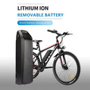 Vivi Electric Bike -Batterie für H6 eBike