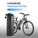 Vivi Electric Bike Battery für H7 Ebike