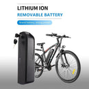 Vivi Electric Bike Battery für H8 Ebike